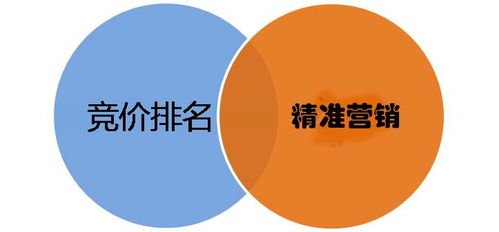 精準(zhǔn)洞察，破局制勝——如何系統(tǒng)研究競(jìng)爭(zhēng)對(duì)手的推廣與銷(xiāo)售策略